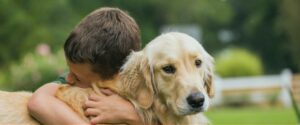 Enterrar Cenizas de tu Perro en el Jardín