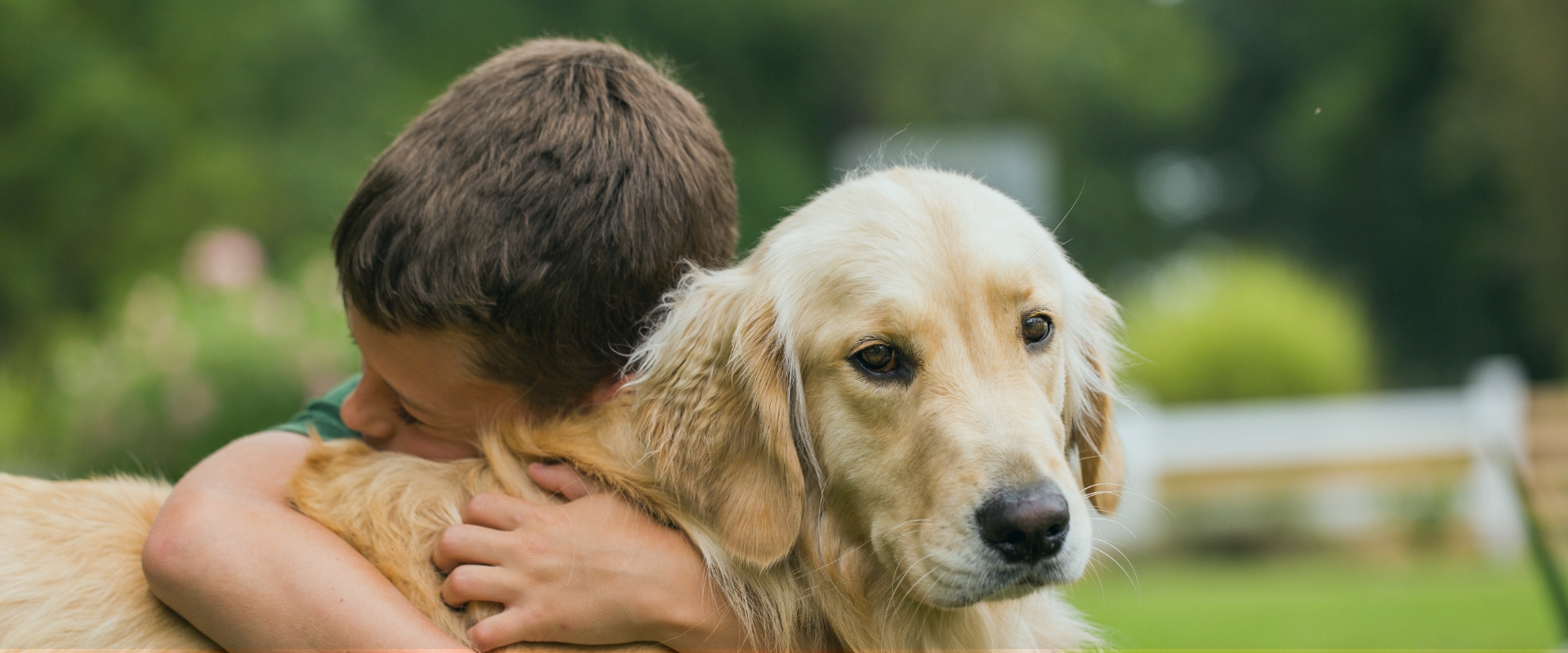 Enterrar Cenizas de tu Perro en el Jardín