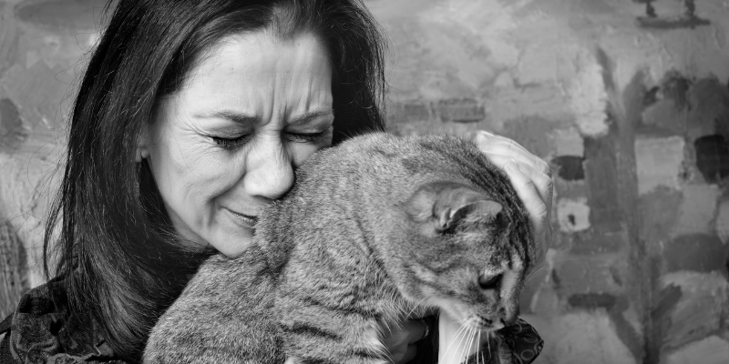 Licencia por la muerte de una mascota en zoèpure pets