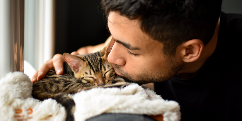 ley de bienestar animal zoèpure pets