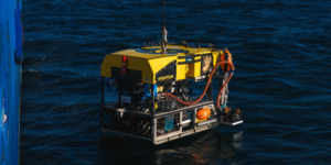 ecosistema oculto en iceberg del tamaño de Chicago zoèpure pets foto de schmidtocean