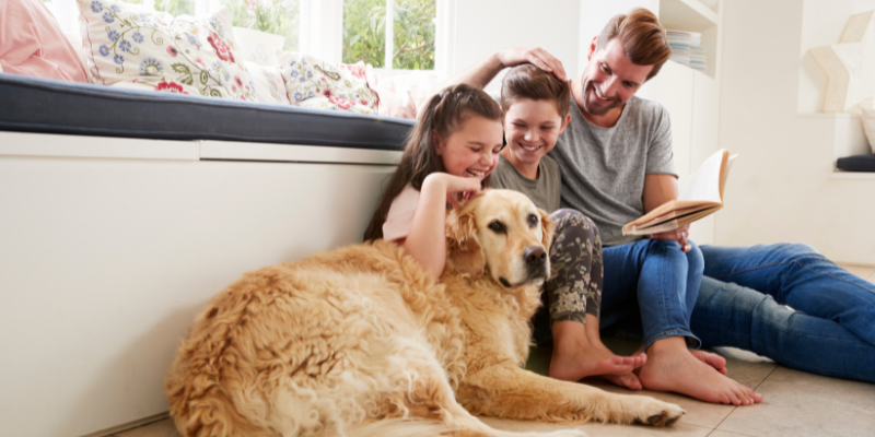 mascotas y bienestar d ela familia zoèpure pets