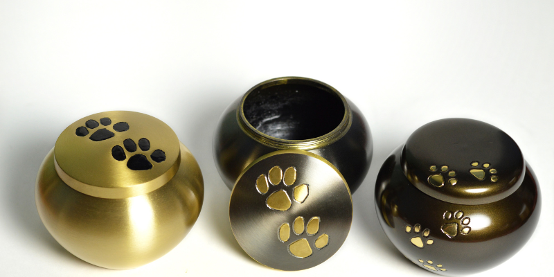 cremación de mascotas Asturias Zoèpure pets
