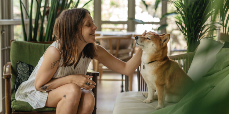 cremación de mascotas Asturias Zoèpure pets