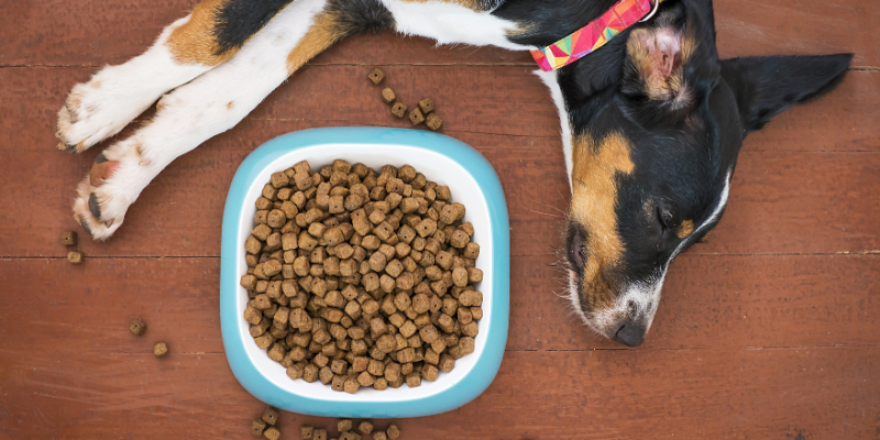comida para mascotas en Tailandia zoèpure pets