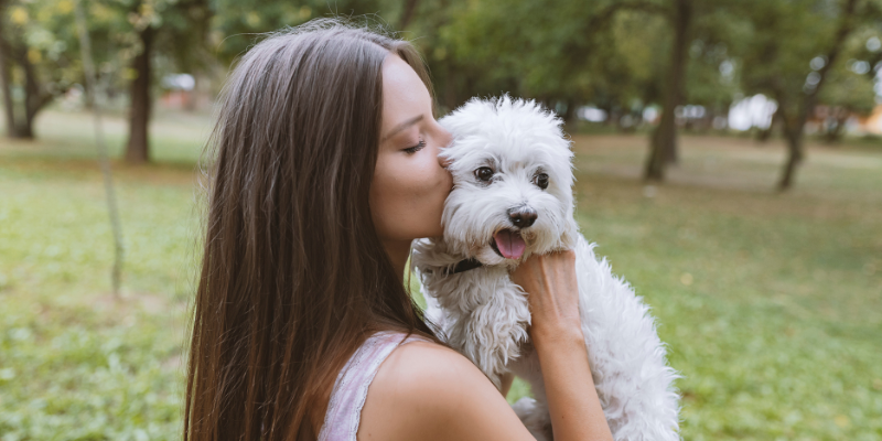 Cuando el amor por una mascota no termina, el vínculo cambia de forma en Zoèpure Pets